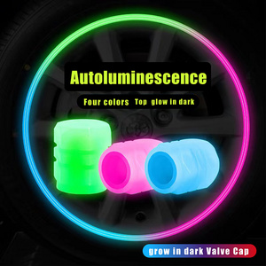 4 pcs Universal Motorcycle Wheel Dust Auto Glow in Dark Tyre Stem Air Valve Cover Light Auto luminous Car Tire Cap