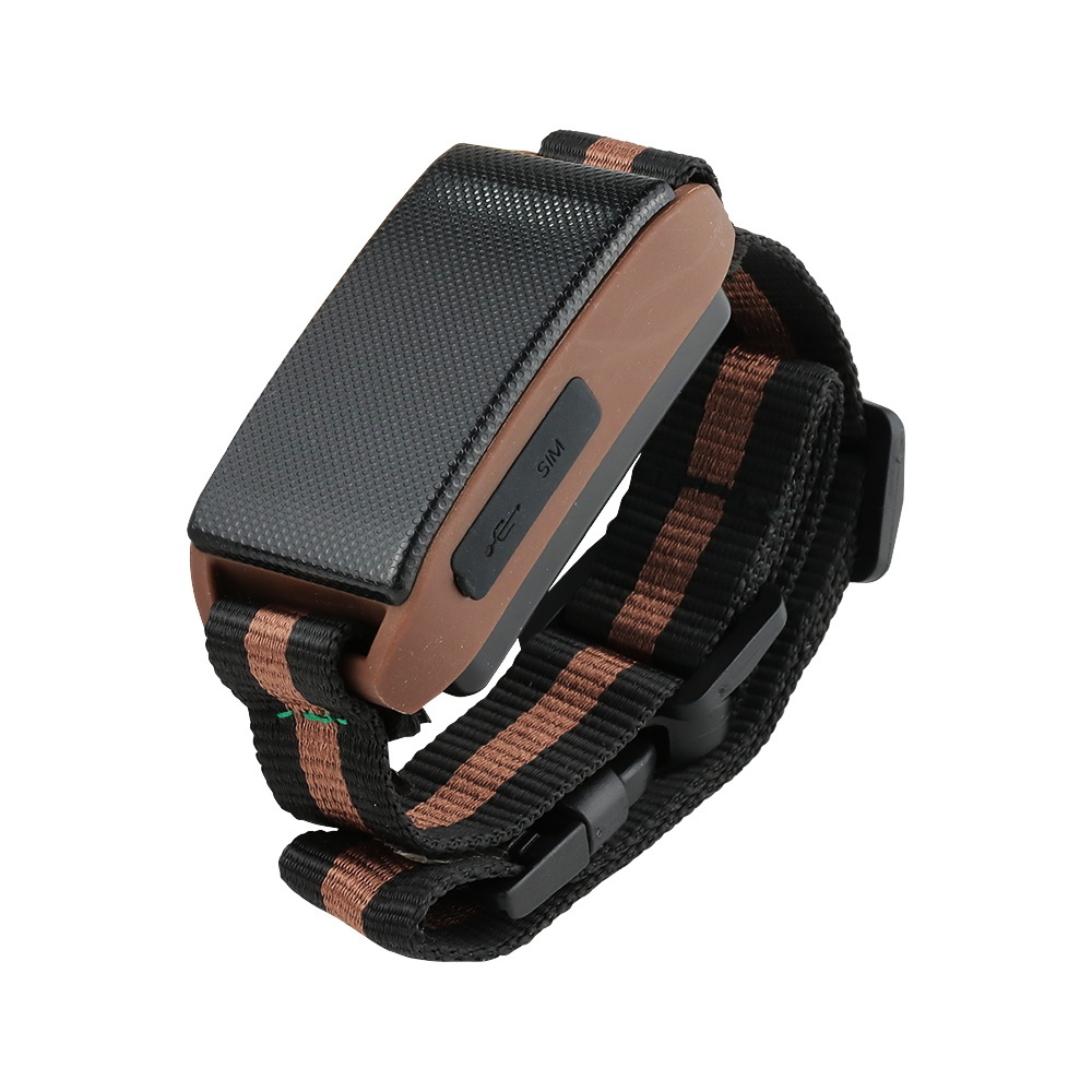 gps tracker collar hunter dog gps collar with free mobile APP real time tracking control online