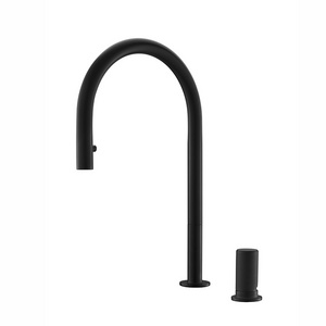 Farmhouse brushed nickel faucet for kitchen sink single handle water filter kitchen faucet black