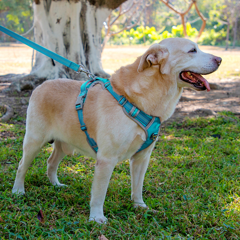 Reflective No Choke Pet Oxford Vest Adjustable Soft Padded No Pull Dog Harness with Easy Control Handle for Big Large Dogs