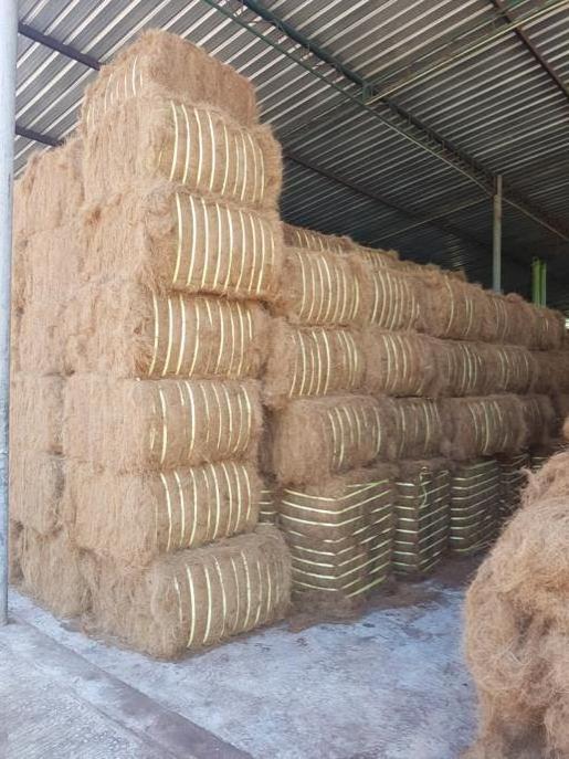 Sri Lankan Coir Mix fiber Great quality at Best Price