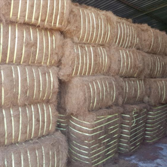 Arava Coir Mattress fiber for Rubberize Coir Sheet