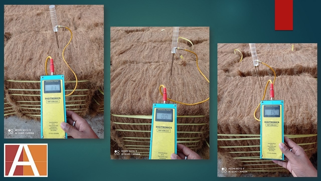 High Quality Coir Fiber Bale with less moisture best for rubberized