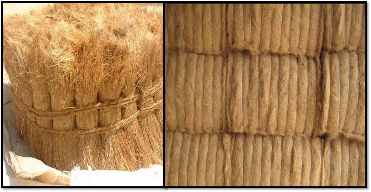 Mattress Fibre Coir for China at the Best Price From Sri Lanka