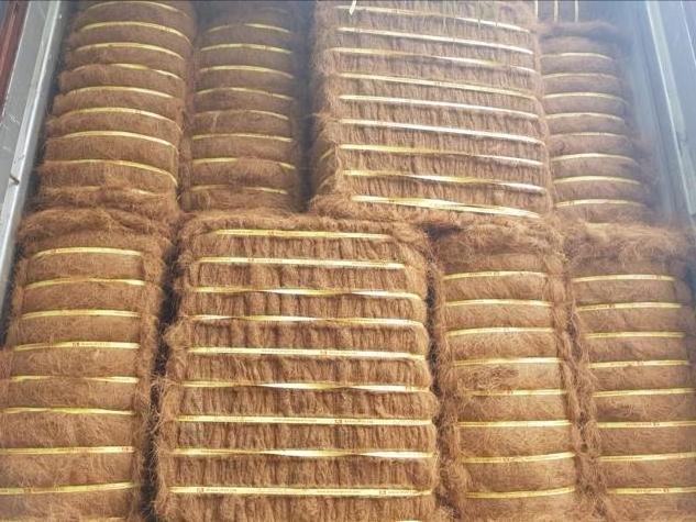 Coir Mattress fiber at the Best Price Best Quality