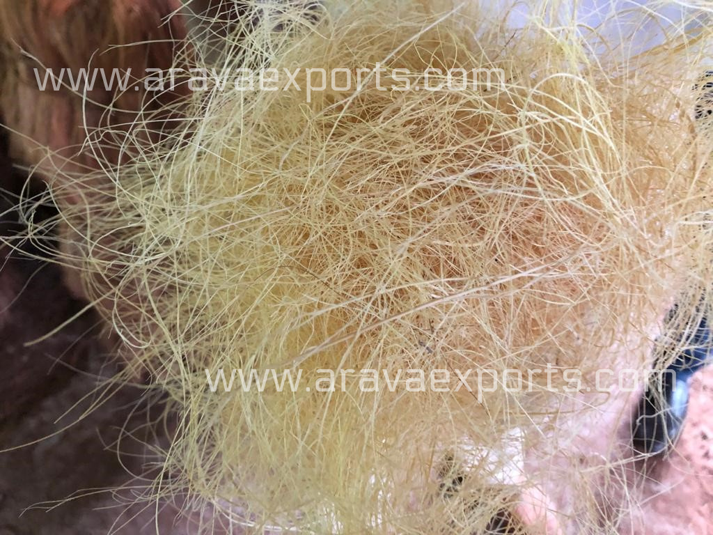 Best Quality Coir Fiber for Rubberize Coir Products