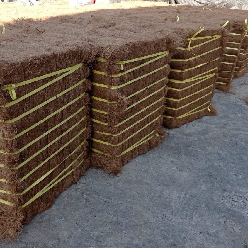 Karachi Coir Fibre for Lowest price