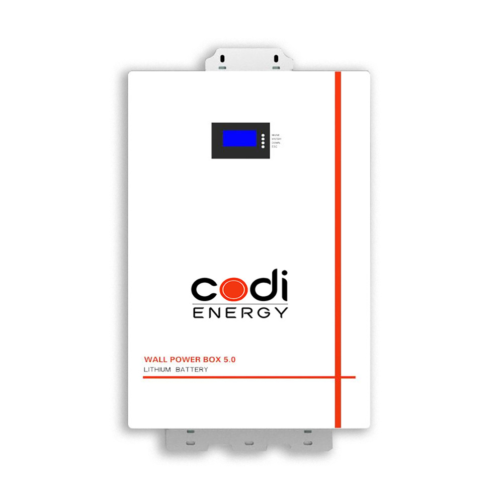 CODI 5kw 10kw 15kw 48v 100ah 200ah 300ah Home Lifepo4 Lithium Ion Battery 5kwh 10kwh 15kwh 20kwh Solar Energy Storage Battery