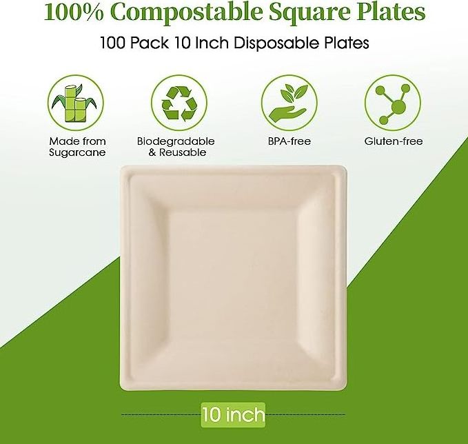 AT PACK 100 Pack Compostable Eco-friendly Heavy Duty 10 inch Disposable Biodegradable Sugarcane Paper Plates