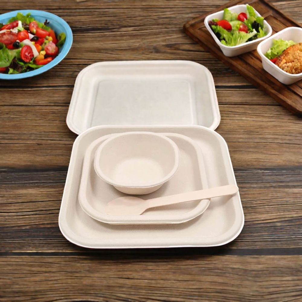 AT PACK 100 Pack Compostable Eco-friendly Heavy Duty 10 inch Disposable Biodegradable Sugarcane Paper Plates