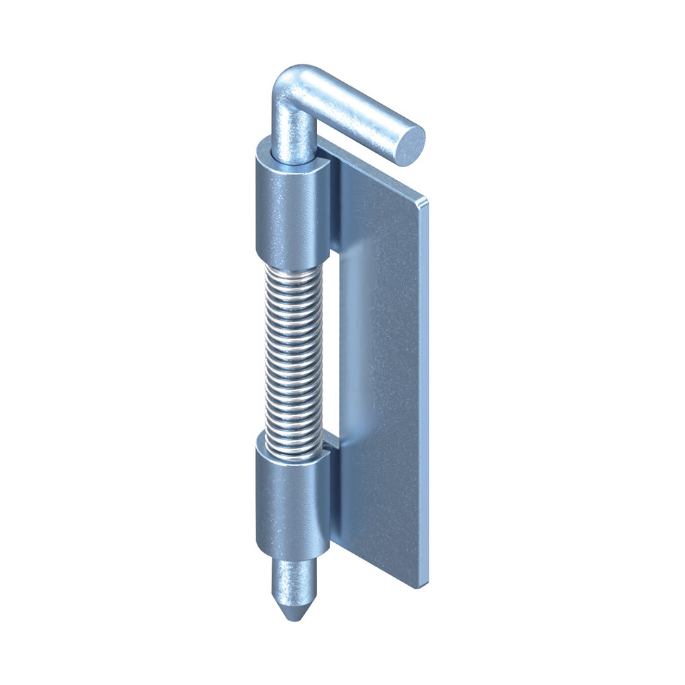 Small Enclosure Concealed Stainless Steel Cane Bolt Removable Pin Hinge