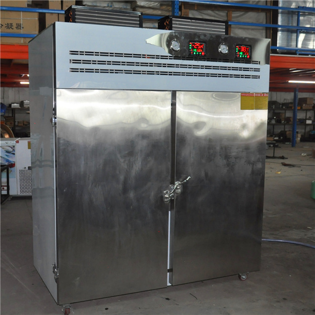 Haiyao  blast freezer for fish shrimp meat food tuna and bakery small cold storage