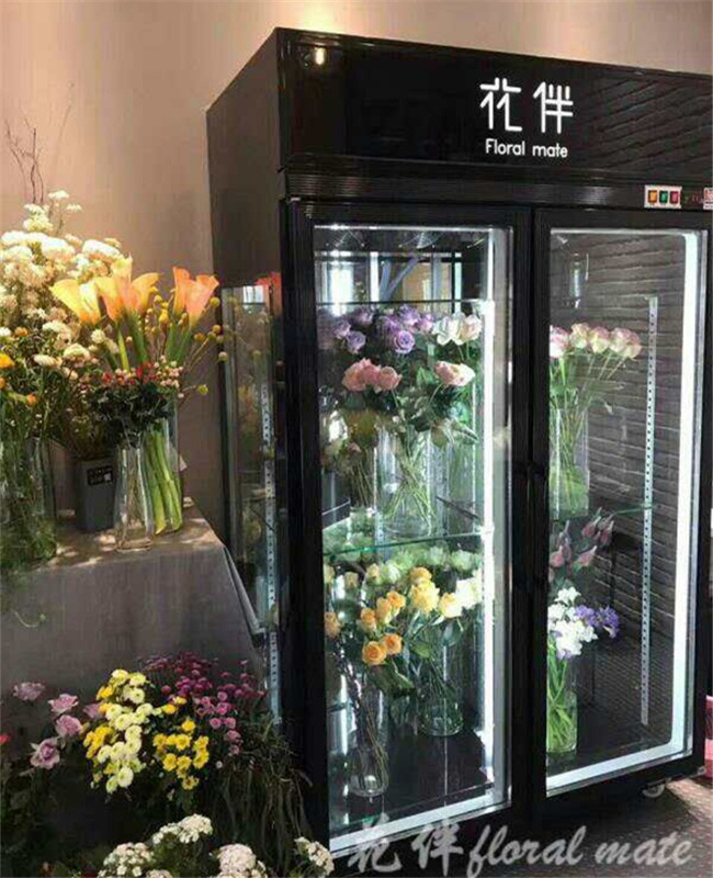 3 Door Upright Flower Display Showcase /Refrigerators for Flowers