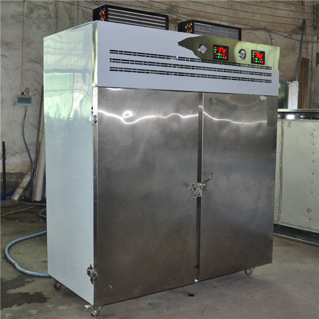 Haiyao  blast freezer for fish shrimp meat food tuna and bakery small cold storage