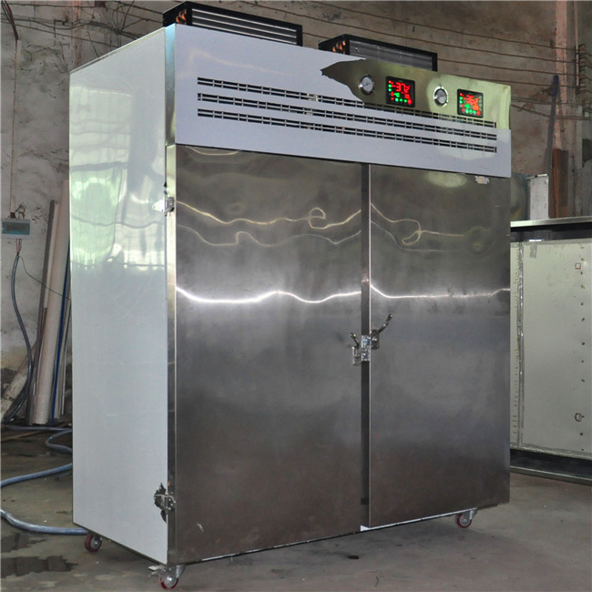 Haiyao  blast freezer for fish shrimp meat food tuna and bakery small cold storage