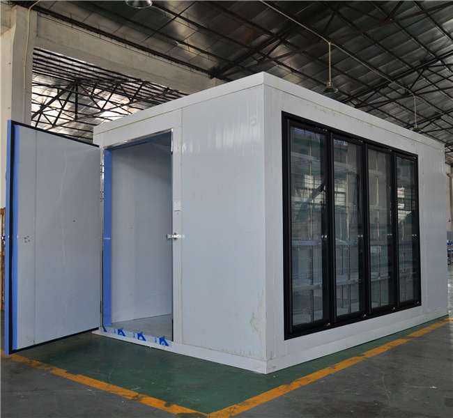 5 Meter Length Walking cooler and freezer with glass door