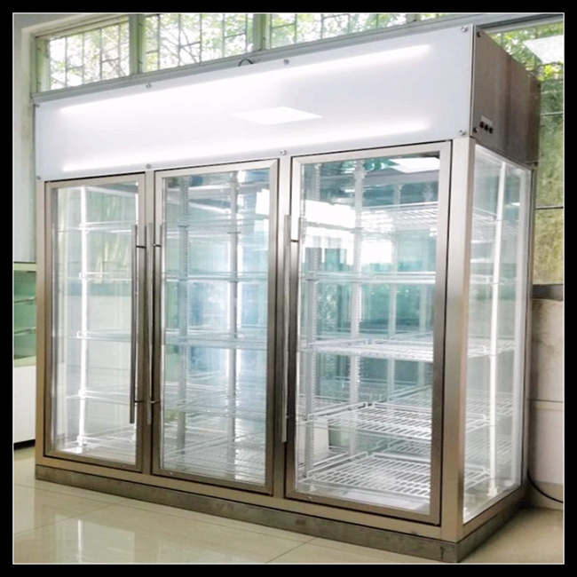 All glass sides flower refrigerator with warm light