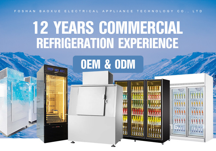 One Door Freezer/Stainless Steel Commercial Refrigerator/Hotel Kitchen Refrigeration Equipment