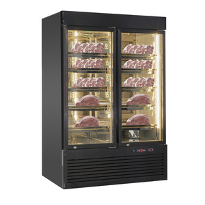 Meat Dry Ager Fridge Beef Hanging Kitchen Equipment Dry Age Curing Chamber Fridge Refrigerator