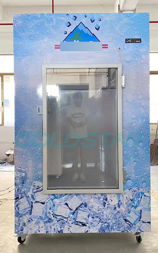 220V glass door used ice merchandiser for sale