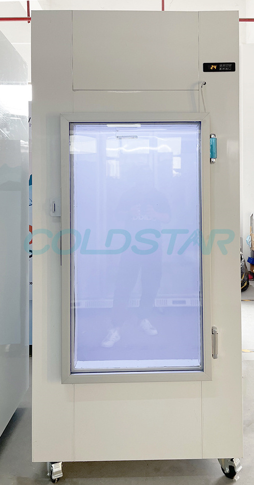 220V glass door used ice merchandiser for sale