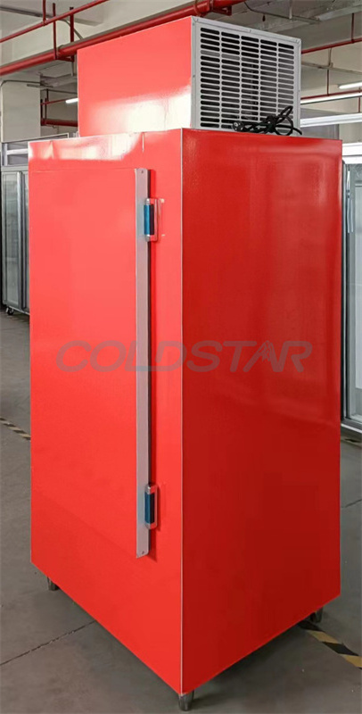 RUIBEI single door cold wall outdoor used ice merchandiser for sale