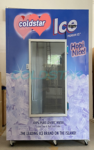 220V glass door used ice merchandiser for sale