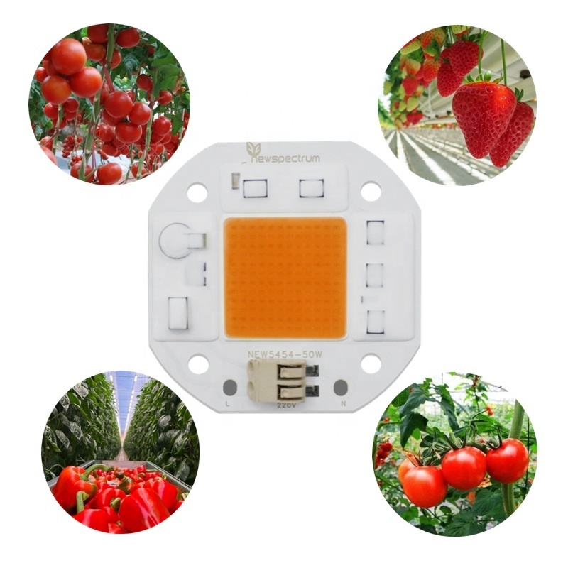 Newspectrum Hydroponic Indoor Plant Grow Chip LED COB With Solderless Connector Full Spectrum Chip LED 50W