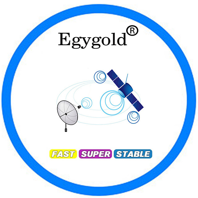 EgyGold CCCam 7 Lines for UK Poland Germany Slovakia Czech Republic Italy Austria stable Satellite ICam Oscam Europe CCCAM Cline