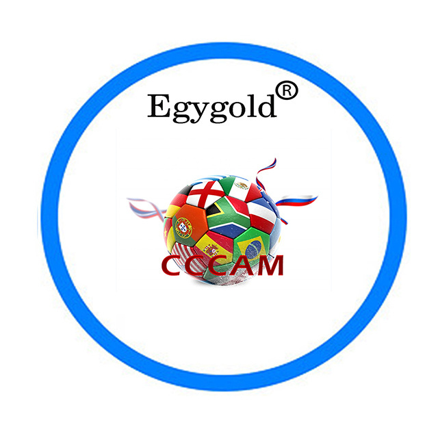 New Europe Egygold Cccam Satellite TV Receiver Stable Server 7 lines Oscam Cccam Clines Europe Spain Portugal Poland Cccam Oscam