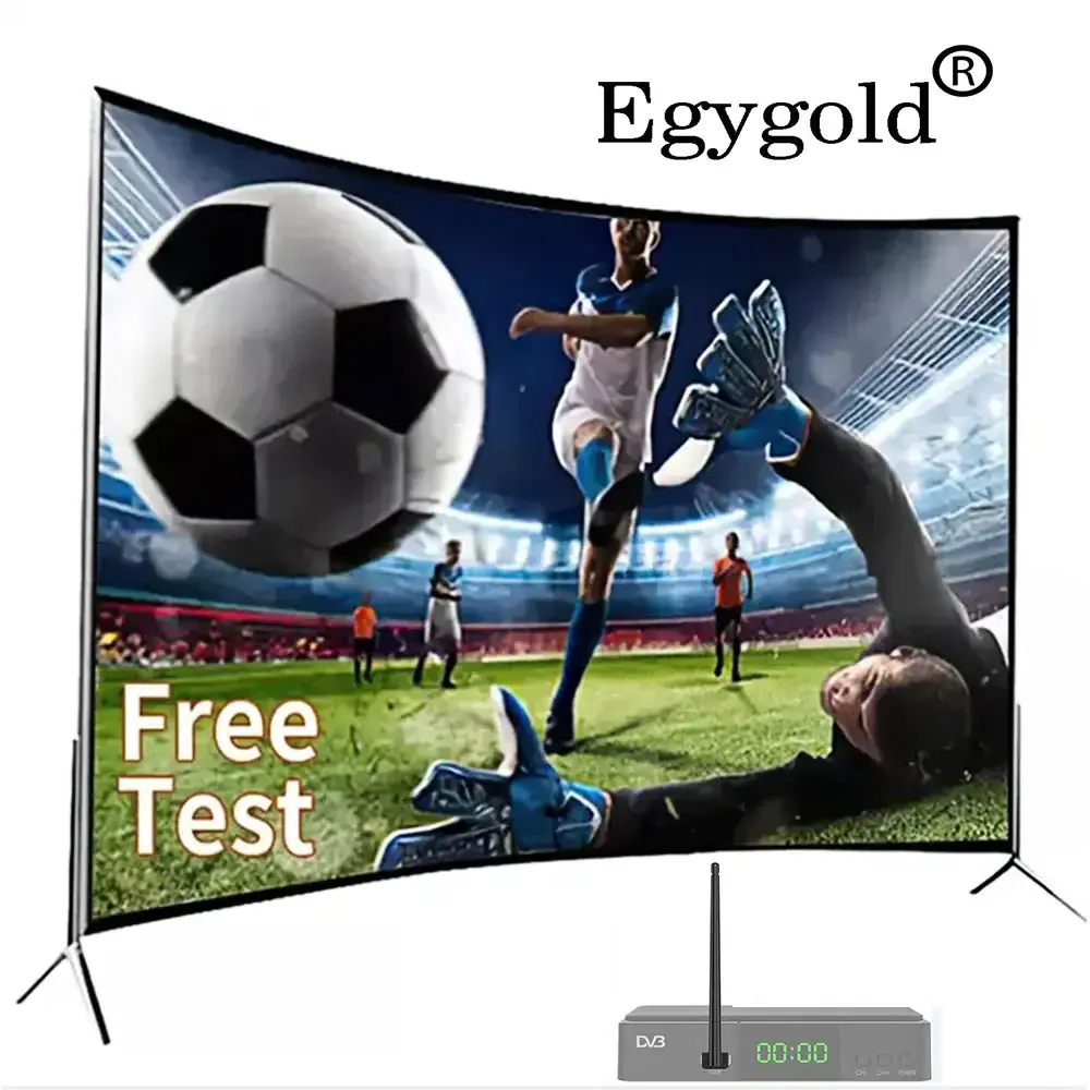 2024 Stable Egygold Cccam Cline 8 Lines for Poland Germany UK Slovakia Italy Netherlands Satellite TV Receiver Free Test