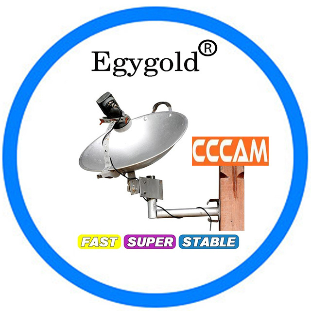 Egygold Cccam Cline Europe 4K Cccam 7 Lines Egygold Oscam TV Receiver Free Test