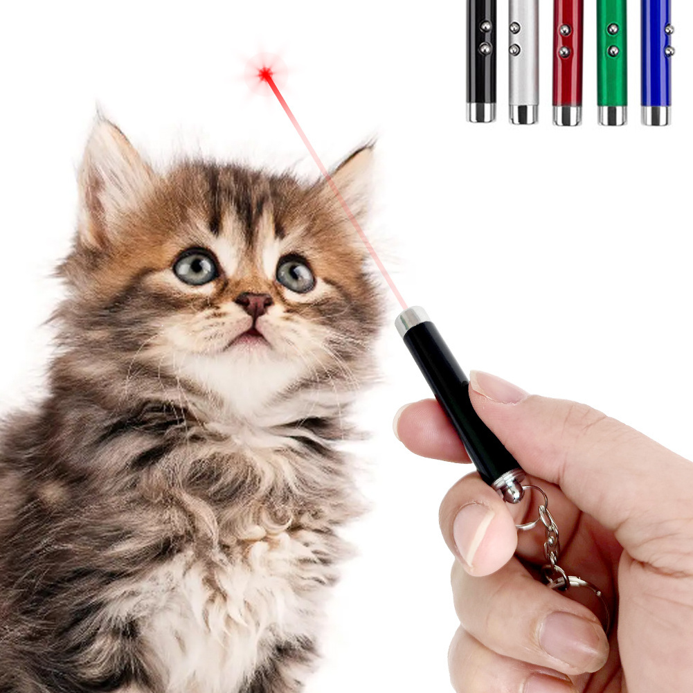 4mW Keychain Laser Pointer 2 In 1 Light Lazer Red Laser Lazer Pointer Pen + LED Light Torch Cat Dog Fun Toy No Battery