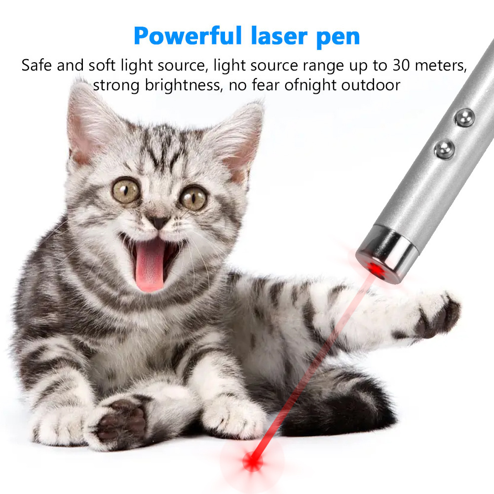 4mW Keychain Laser Pointer 2 In 1 Light Lazer Red Laser Lazer Pointer Pen + LED Light Torch Cat Dog Fun Toy No Battery