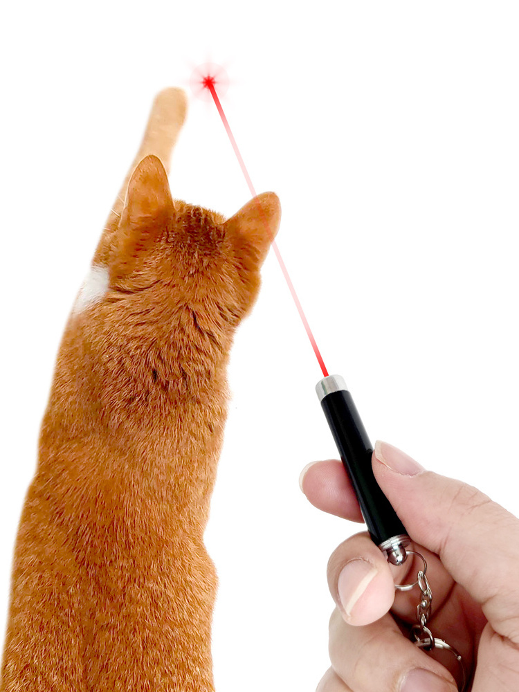 4mW Keychain Laser Pointer 2 In 1 Light Lazer Red Laser Lazer Pointer Pen + LED Light Torch Cat Dog Fun Toy No Battery