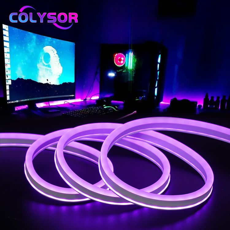 Hot Sale Customized Neon Lights Decoration Game Room Waterproof IP65 LED Strip Lights