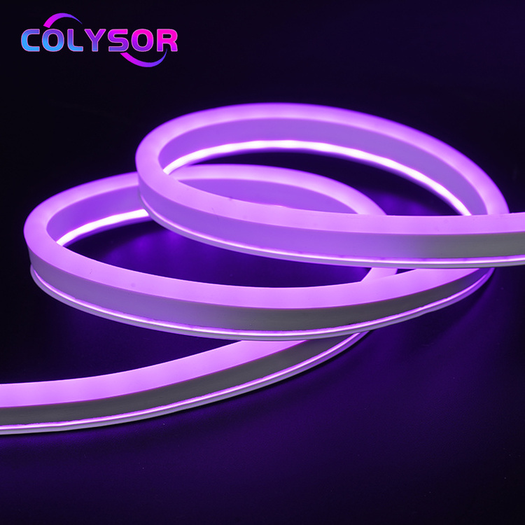 Multi Color Purple Red Yellow Easy Install Side Outdoor Landscape Building Silicone Tube Strip Roll 50m Home LED Neon Rope Light