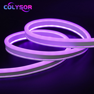 Multi Color Purple Red Yellow Easy Install Side Outdoor Landscape Building Silicone Tube Strip Roll 50m Home LED Neon Rope Light