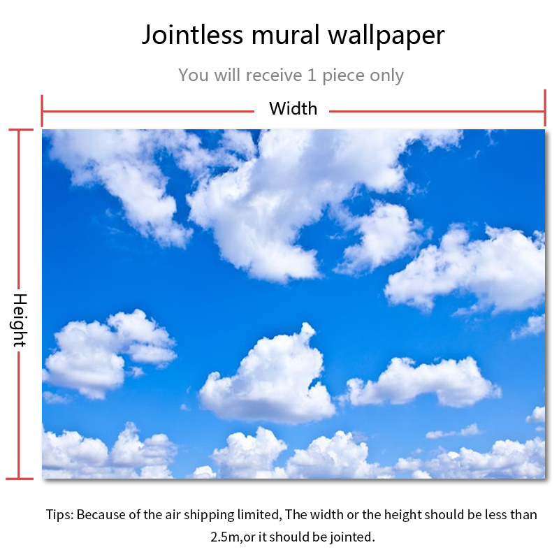 Wholesale Printable Customized 3D Ceiling Jointless Mural Wallpaper