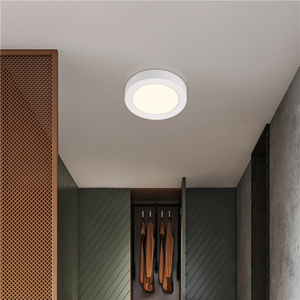 Modern Small Ceiling Light Hallway Round Panel Ceiling Lighting Flush Mount Led Ceiling Lamp for corridor