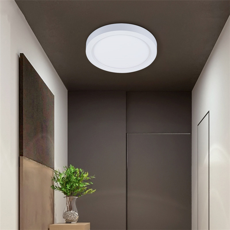 Modern Small Ceiling Light Hallway Round Panel Ceiling Lighting Flush Mount Led Ceiling Lamp for corridor