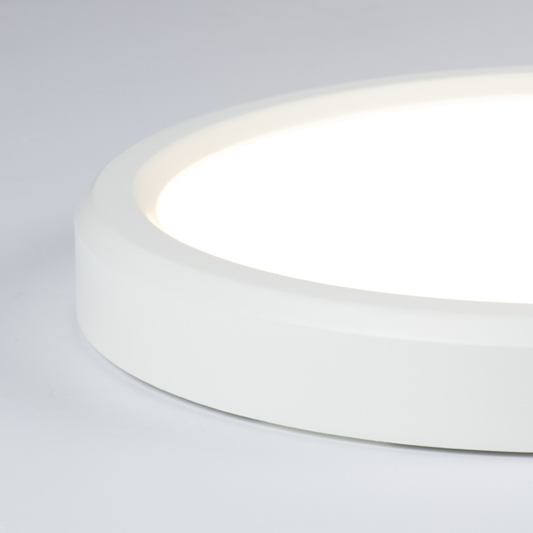 Modern Small Ceiling Light Hallway Round Panel Ceiling Lighting Flush Mount Led Ceiling Lamp for corridor