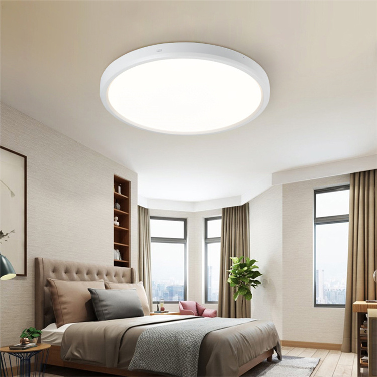 High Quality ABS Mini Ceiling Light Round Flat Panel LED Ceiling Lighting for Hallway Living Room Flush Mount