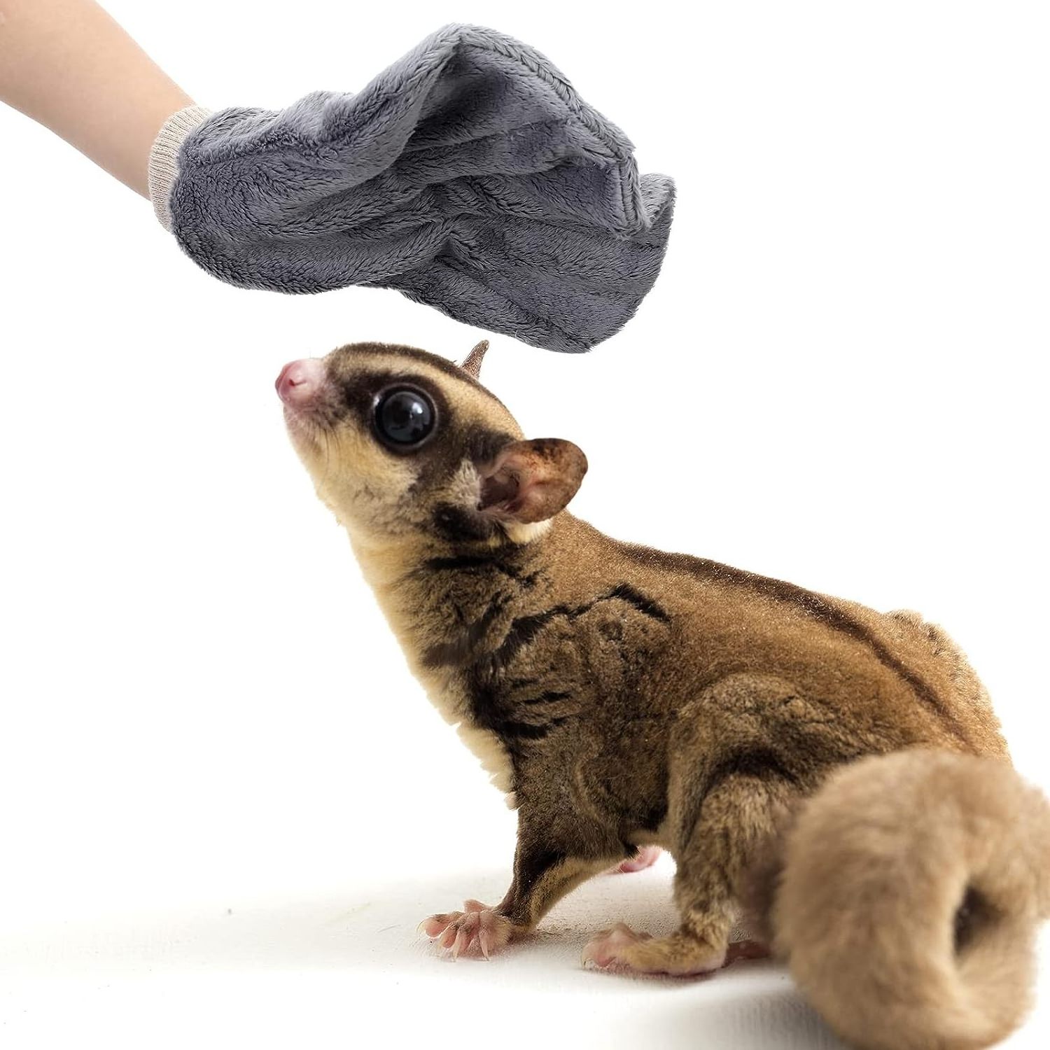 OEM Pet Sugar Glider Bonding Mitt Bite Proof Small Animal Handling Gloves Sugar Glider Accessories Pouch Calming Sleeping Glove