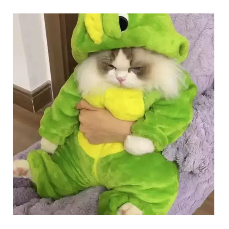 Cute Flannel Cat Dinosaur Jackets Hoodie Pet Dinosaur Costume for Cats Dog Outfit Halloween Cosplay Winter Cat Dinosaur Jacket