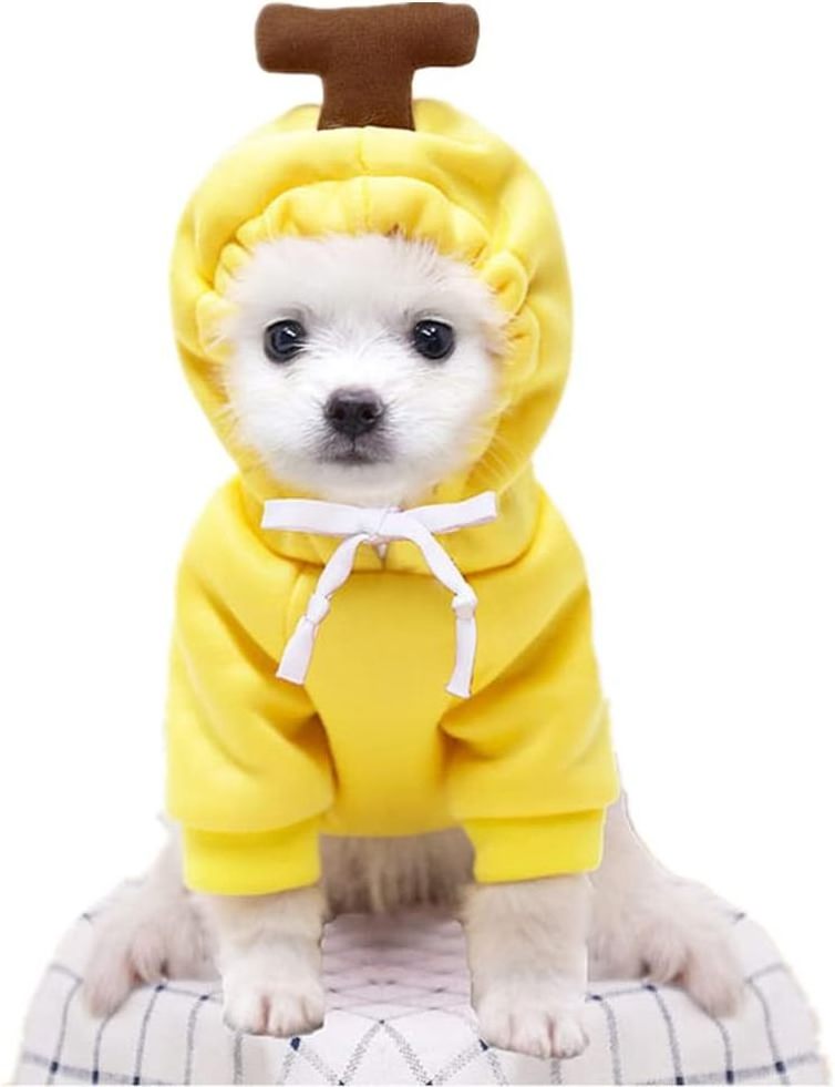 OEM Dog Hoodie Pet Clothes Sweatshirt Halloween Costumes for Dogs Chihuahua Yorkie Clothes for Pomeranian Dog Christmas Costume