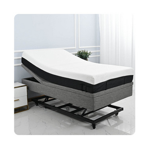 Cycloidal Vibration Massage Electric Adjustable Hi Low Therapy Bed Base for Home Care