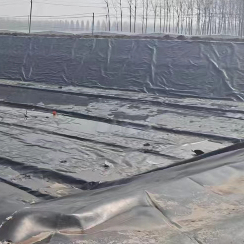 Geomembrane pond liner plastic reinforced polyethylene aquaculture flexible liner 45 mil pond liner for tilapia farming