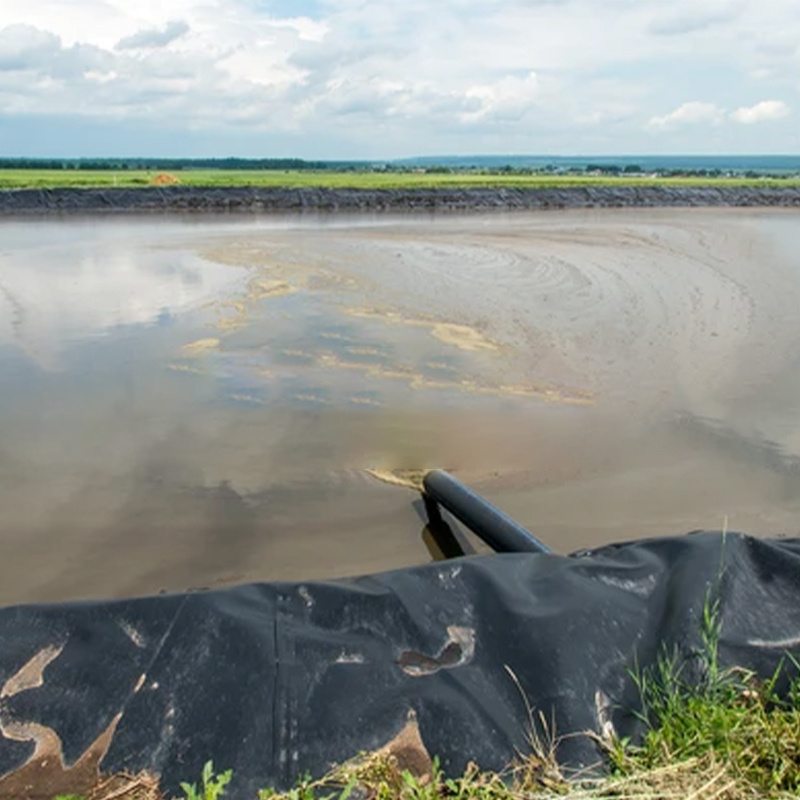 Hdpe Pond Liner HDPE Geomembrane HDPE Lining Water Tank Dam Liners for Aquaculture Shrimp Farming Liner