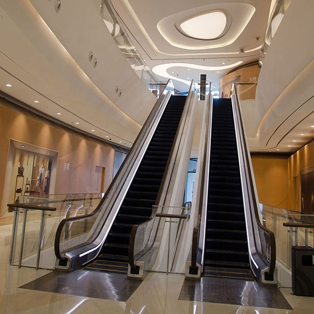 Best Price Escalator for Indoor and Outdoor